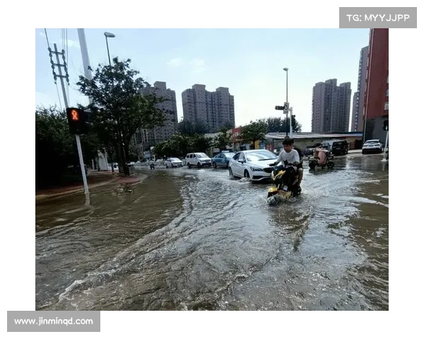 FE上海站暴雨积水考验 21辆赛车安全完赛彰显技术可靠性